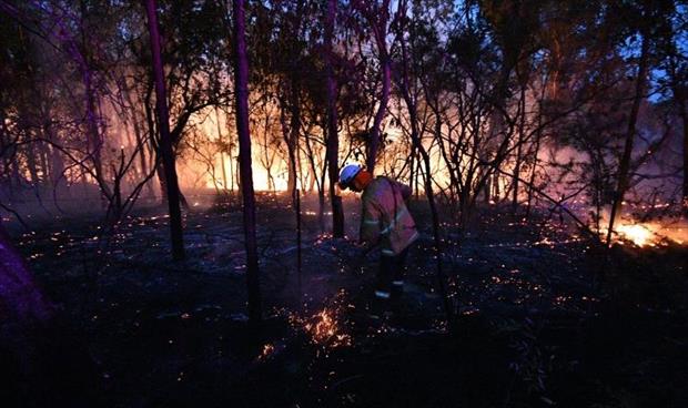 حريق غابات يجبر السلطات على إخلاء مستشفى ومئات المنازل بولاية كاليفورنيا