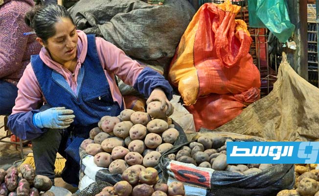 التضخم المتسارع يضرب البطاطا في البيرو والذرة في المكسيك