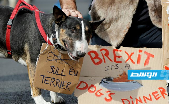 كلاب تتظاهر في بريطانيا ضد «بريكست»