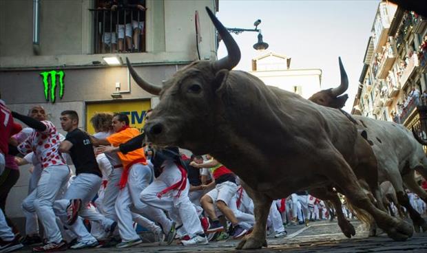 إصابة 35 شخصًا خلال سباق الثيران في إسبانيا