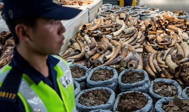هونغ كونغ تصنّف تهريب الحيوانات البرية ضمن الجرائم المنظمة