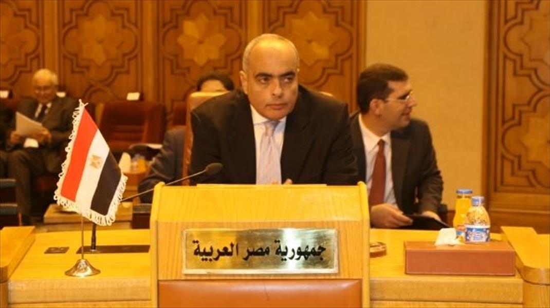 مصر تحذر من غياب الإرادة السياسية لإحلال السلام في الشرق الأوسط