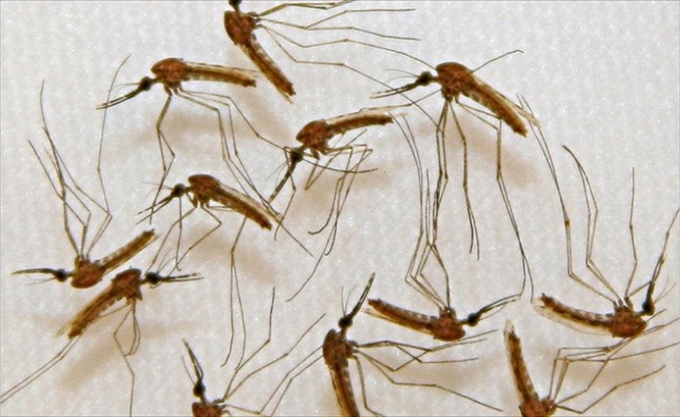 أول لقاح في العالم لعلاج الملاريا