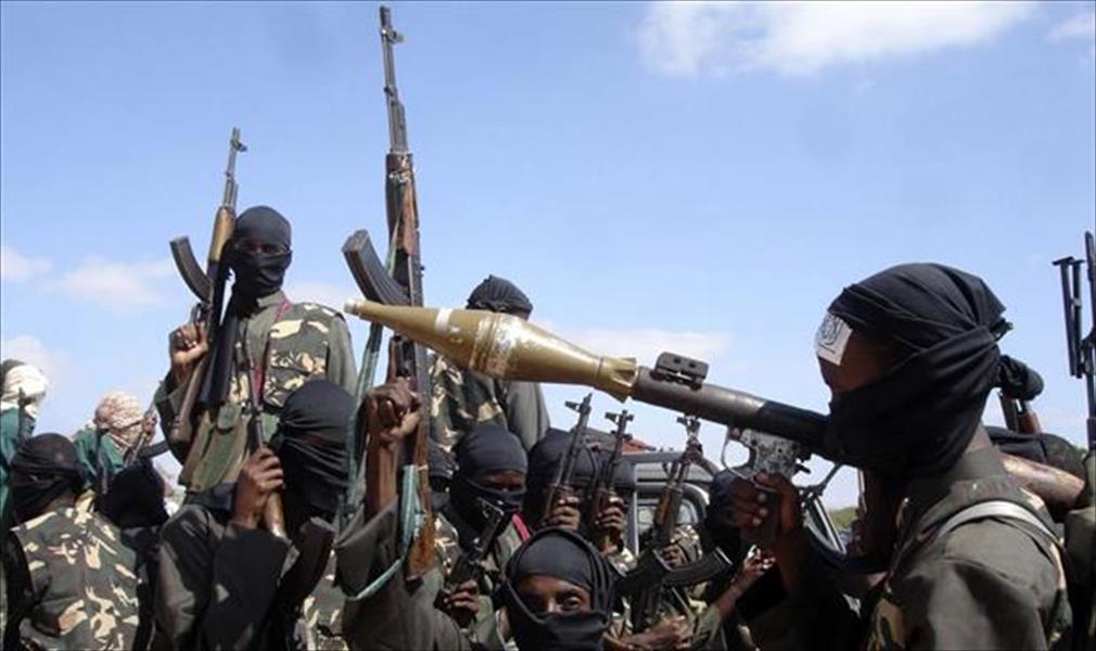 النيجر تعقتل 600 شخص لصلتهم بـ«بوكو حرام»