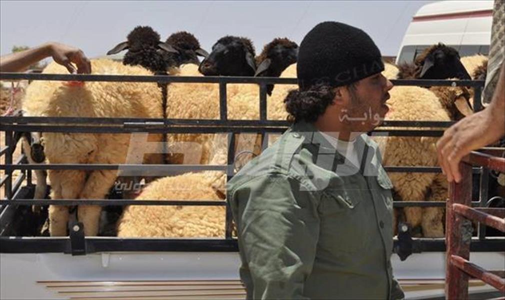 بالصور: بلدي سلوق يقدم قافلة مساعدات للجيش غرب بنغازي