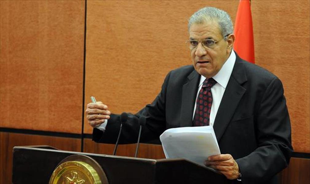 الحكومة المصرية تعلن غدًا إجازة رسمية لمناسبة ذكرى الثورة