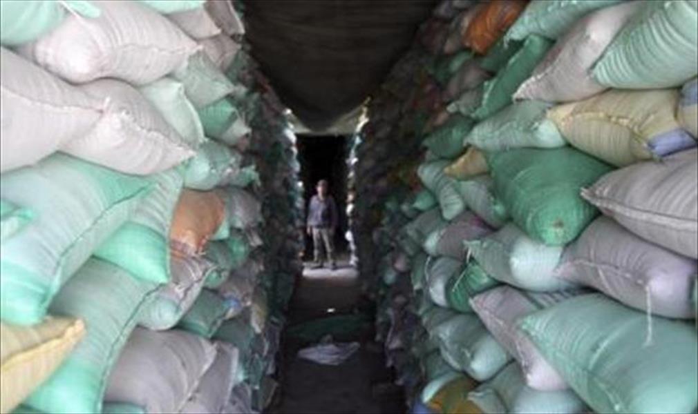 مصر: شراء 60 ألف طن قمح روماني