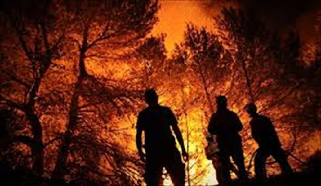 اندلاع حرائق غابات في اليونان والبرتغال بسبب موجة الحر