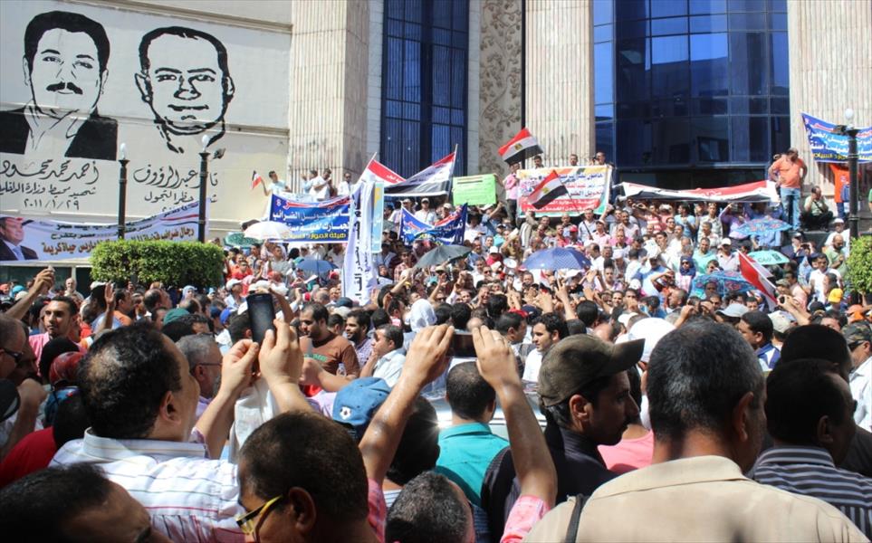 الحكومة المصرية: لا تراجع عن قانون الخدمة المدنية