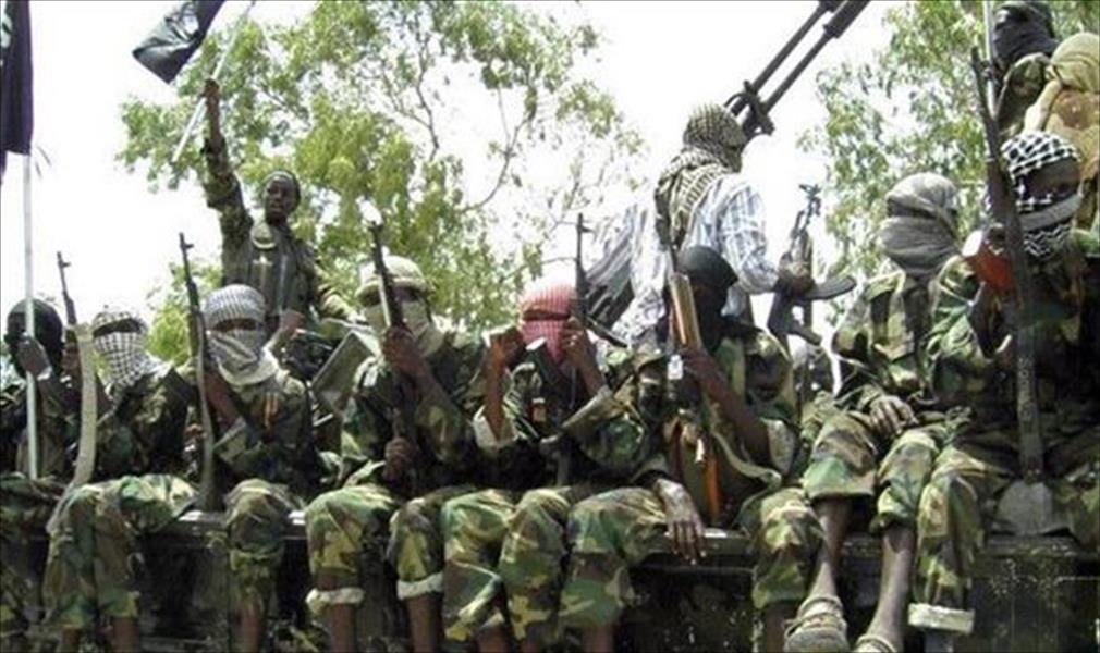 «بوكو حرام» تقتل 18 قرويًّا في النيجر