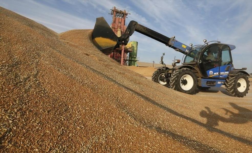 تونس تطرح مناقصة لشراء 75 ألف طن من القمح الصلد