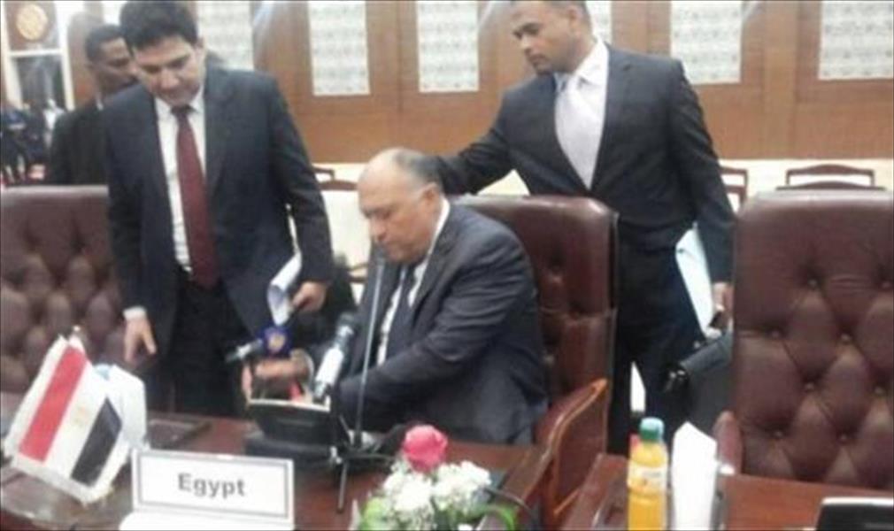 الخارجية المصرية: إزاحة شكري ميكروفون «الجزيرة» تصرف طبيعي