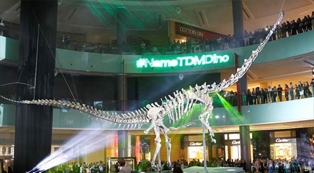 دبي تستقبل ديناصورًا عمره 150 مليون عام