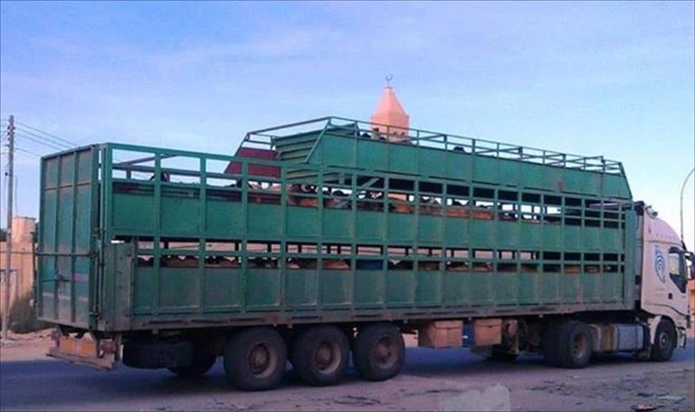 ضبط ست شاحنات تحمل مواشي قبل تهريبها إلى مصر