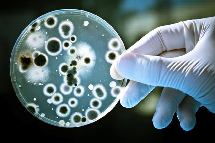 اكتشاف طريقة للقضاء على البكتيريا المقاومة للمضادات