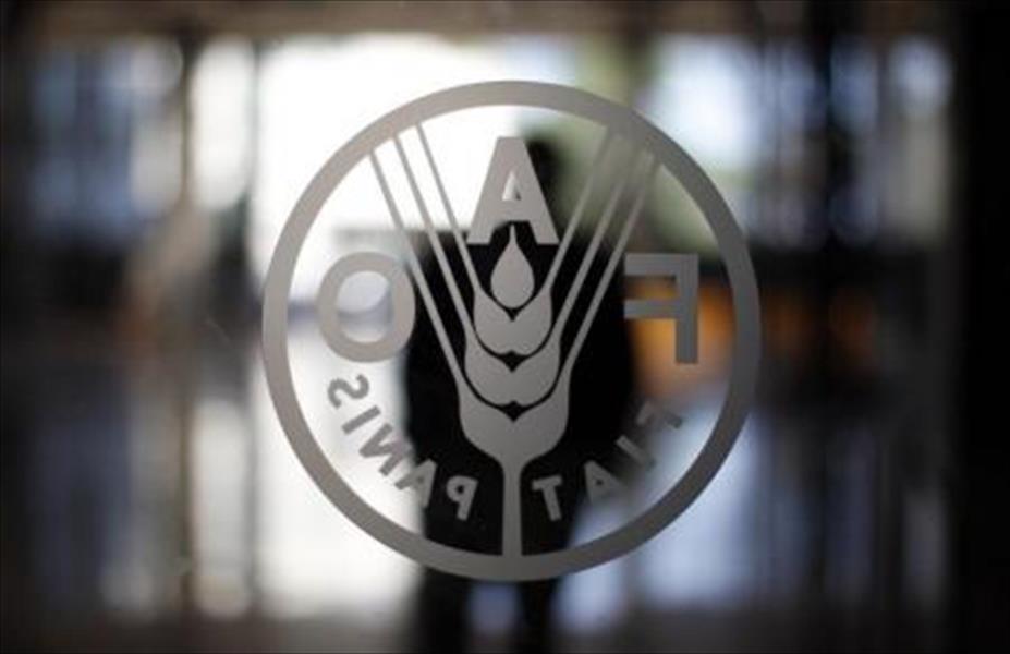«الزراعة المصرية»: نعمل مع الفاو لوضع تشريع لإرجوت القمح