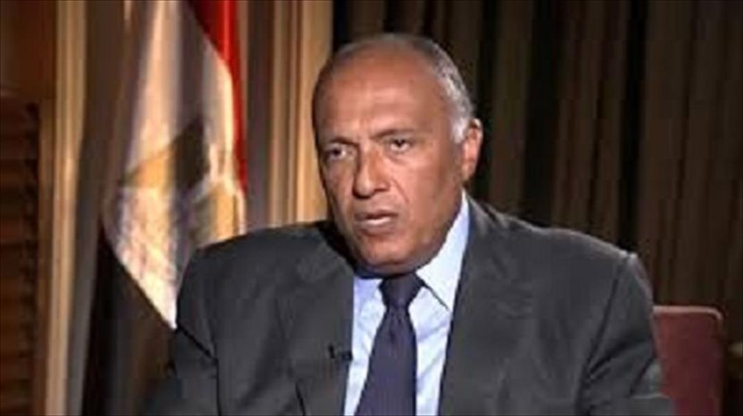 شكري يجتمع بوفد من مجلس النواب الليبي في القاهرة