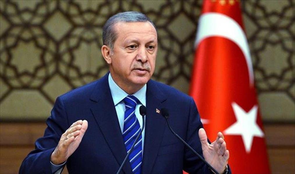 إردوغان: الحل السياسي في سورية هدف مشترك لتركيا وروسيا