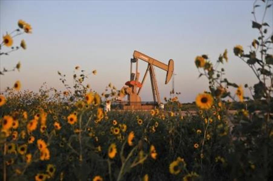 النفط يتراجع مع تحذير بنوك من تأثير محدود لاجتماع الدوحة