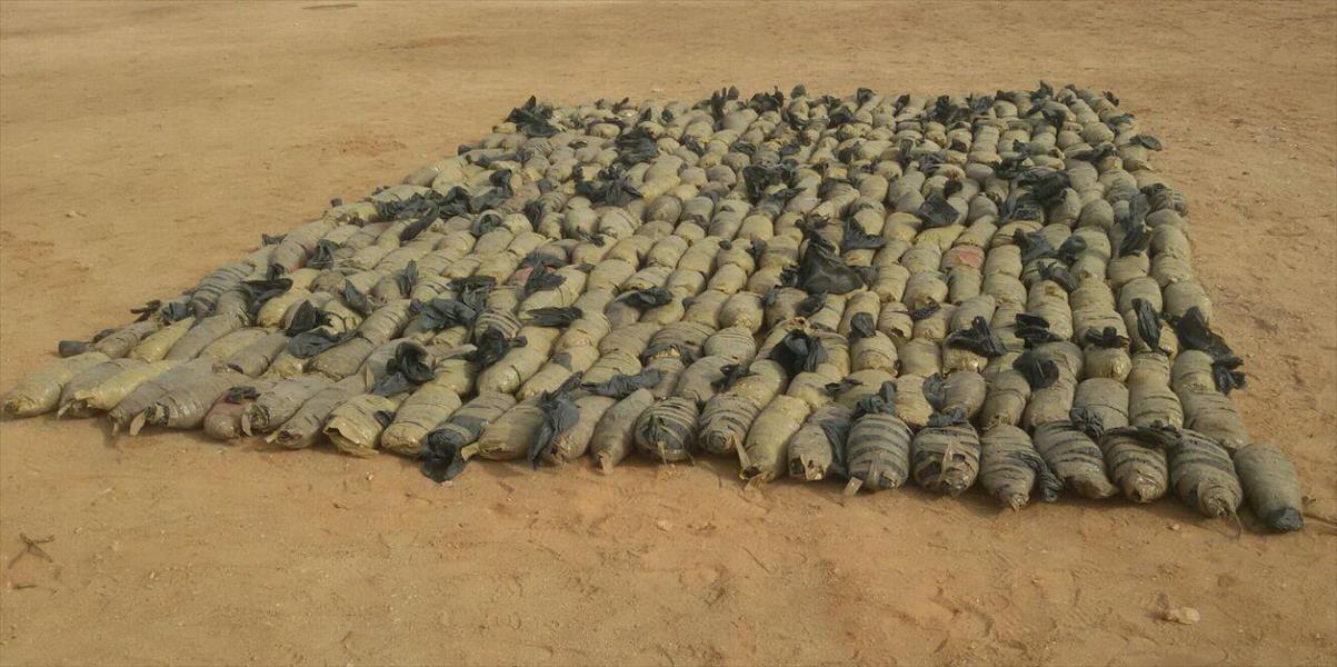 بالصور: الجيش المصري يضبط مزارع للنباتات المخدرة