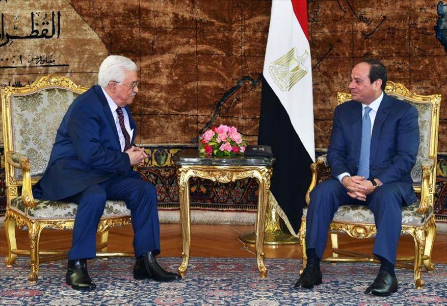 السيسي يتعهد دعم القضية الفلسطينية خلال رئاسة مصر لمجلس الأمن