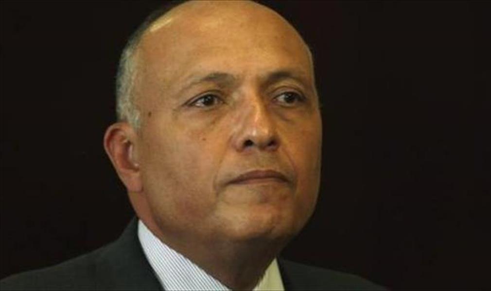 الخارجية المصرية: الحكم بسجن قاتلي الفرنسي يؤكد «استقلال القضاء المصري»
