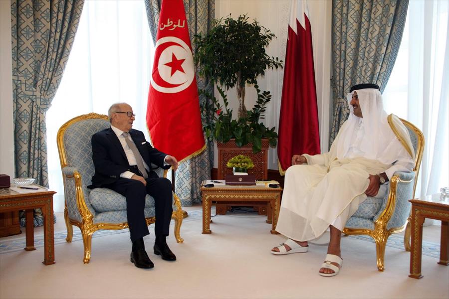 تونس وقطر تبحثان مجالات التعاون بين البلدين