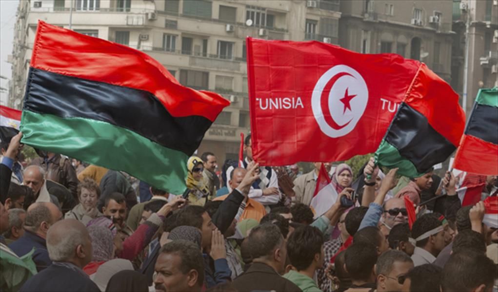 «مؤشر الديمقراطية».. تونس الأولى عربيا ومصر السادسة