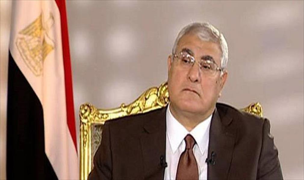 الرئاسة المصرية تحسم تحصين اللجنة العليا خلال ساعات