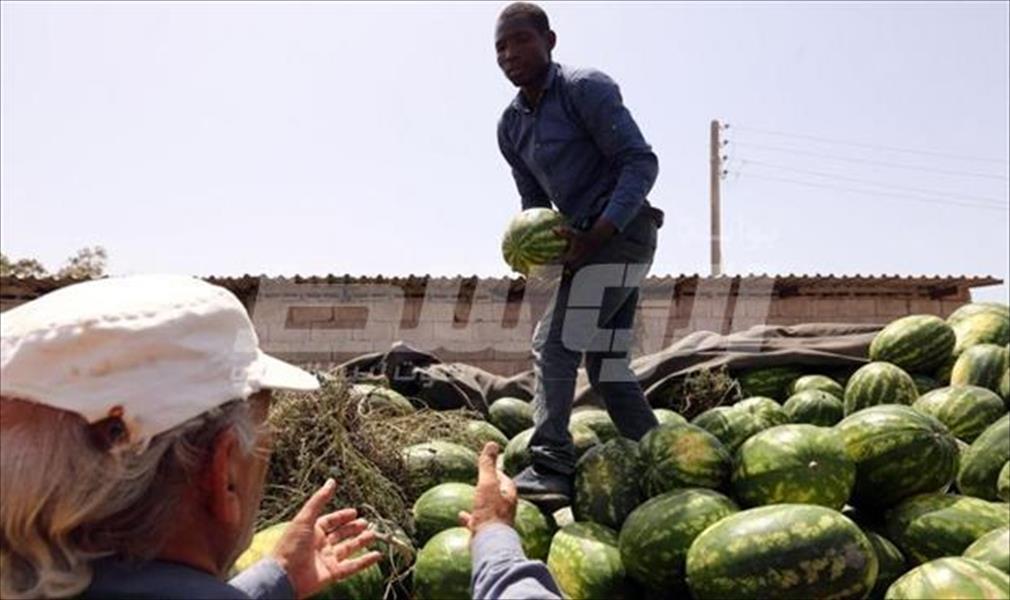تقرير مصور: طرابلس في رمضان.. التسوق حياة