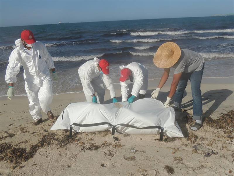انتشال تسع جثث على شواطئ زوارة
