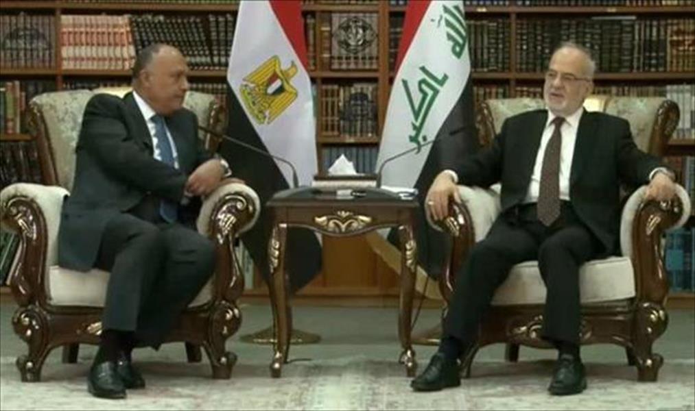 شكري يبحث مع رئيس الوزراء العراقي التعاون الثنائي والحرب على «داعش»