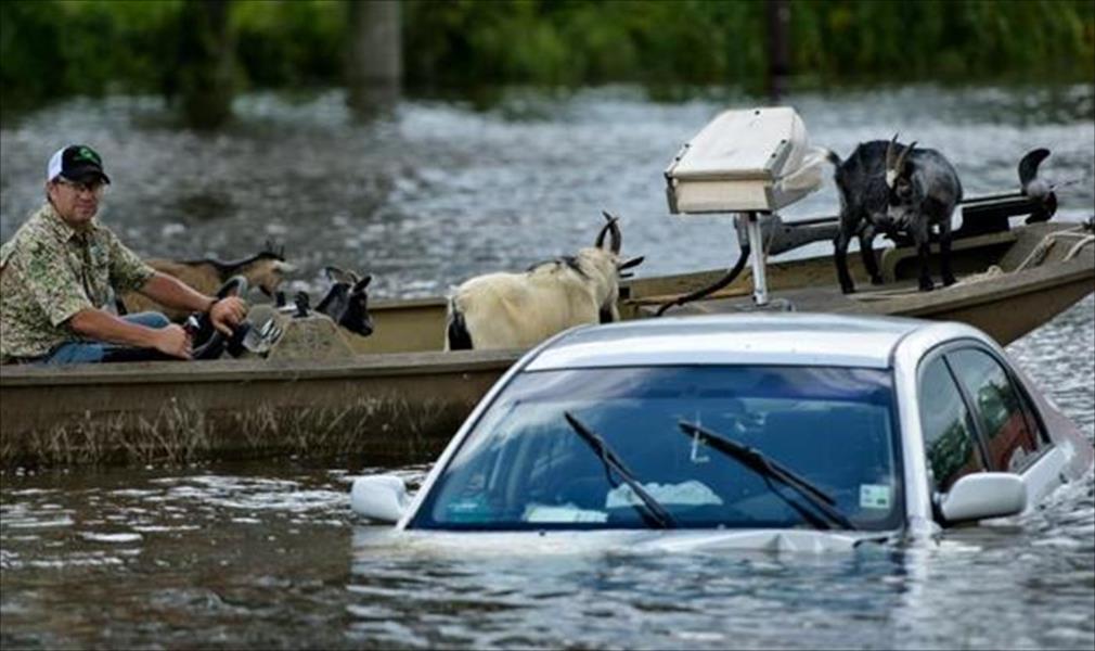 11 قتيلاً و40 ألف منزل متضرر في الفيضانات بأميركا