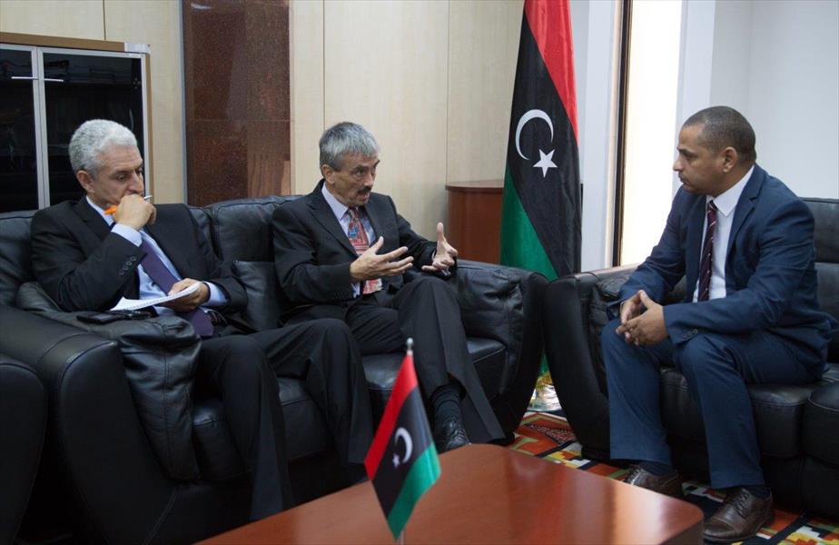 «رئيس الليبية للاستثمار» يجتمع بالسفير البريطاني على خلفية قضية «غولدمان ساكس»