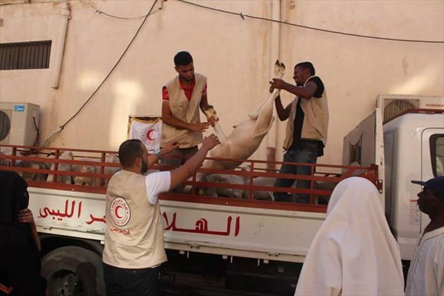 الهلال الأحمر يوزع أكثر من 100 أضحية على العائلات المحتاجة في طرابلس