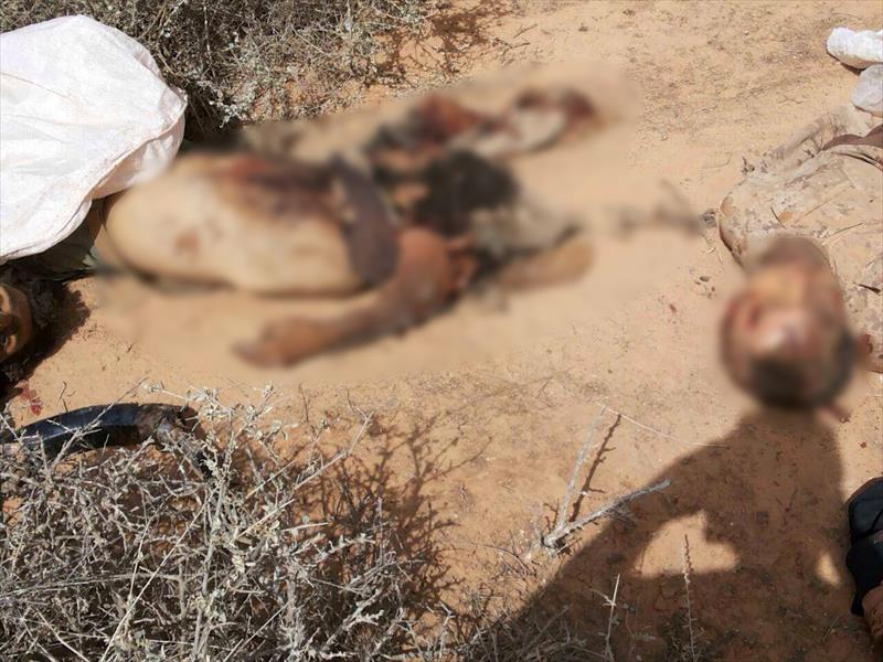 أهالي «سلطان» يقتلون 5 من عناصر «داعش»