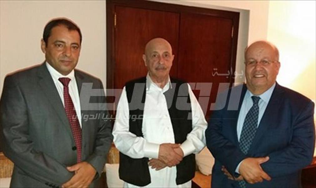 عقيلة يؤكد دعمه إدارة المؤسسة الليبية للاستثمار برئاسة فوزي فركاش