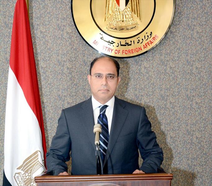 مصر تؤكد عدم التدخل في شؤون إثيوبيا