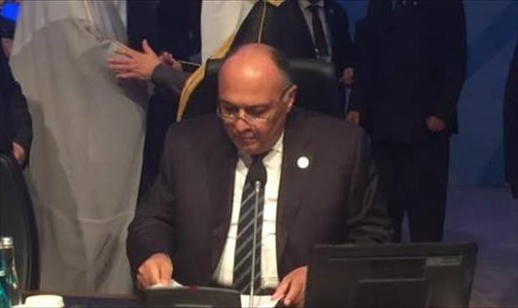 وزير الخارجية المصري يشارك في اجتماع بشأن سورية في سويسرا