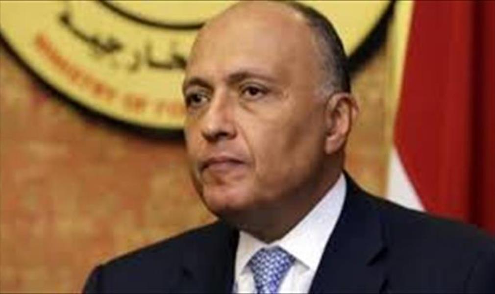 وزير الخارجية المصري يبحث القضايا الإقليمية مع نظيره الإسباني