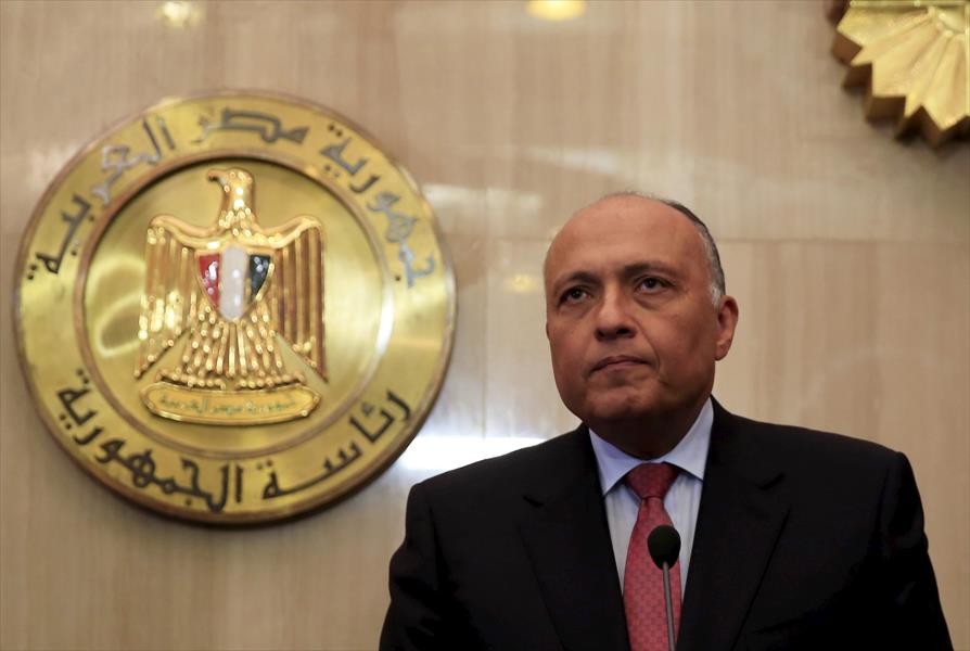 وزير خارجية مصر ينفي توتر العلاقات مع السعودية بسبب الأزمة السورية