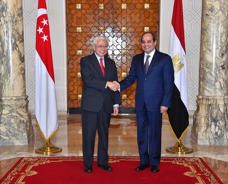 رئيس سنغافورة: أثق في تعزيز العلاقة مع مصر عبر الخمسين عامًا المقبلة