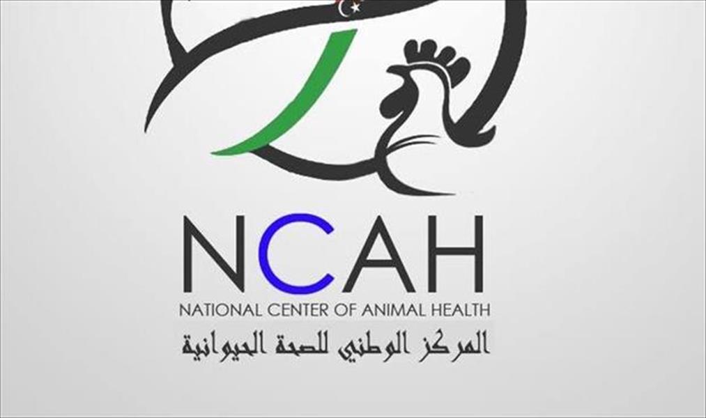 «الوطني للصحة الحيوانية» يعلن الاستنفار الكامل بسبب أنفلونزا الطيور