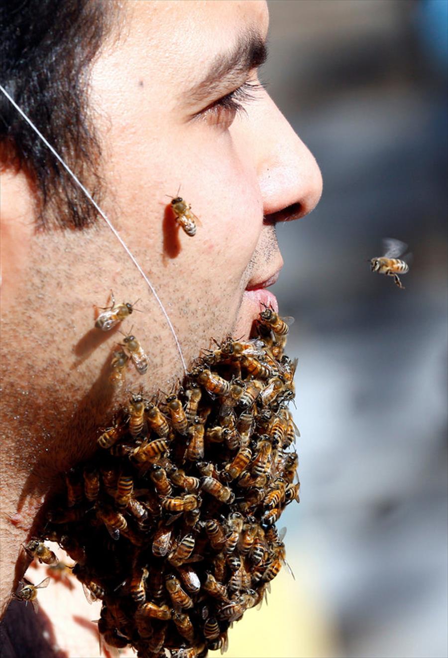 لماذا يتجمع النحل حول ذقن هذا الرجل؟