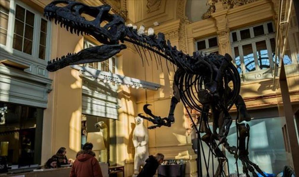 بيع هيكل عظمي لديناصور بمليون و128 ألف يورو