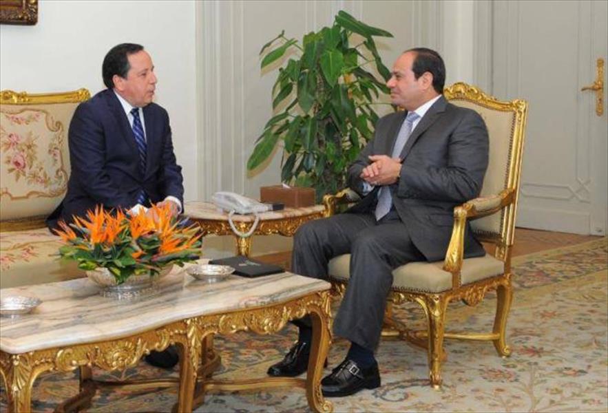 الجهيناوي يلتقي السيسي ويؤكد تضامن تونس مع مصر في مواجهة الإرهاب