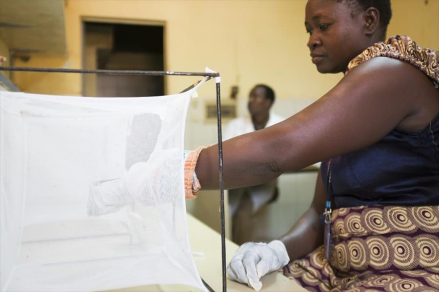 ابتكار صابونة ضد الملاريا