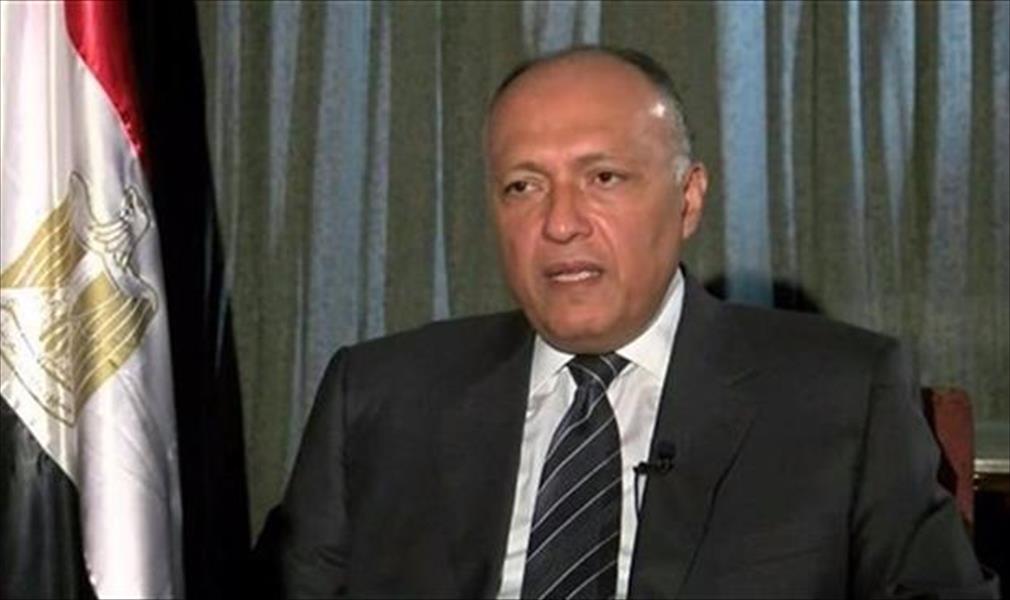 وزير الخارجية المصري يبحث مع عريقات تطورات الملف الفلسطيني