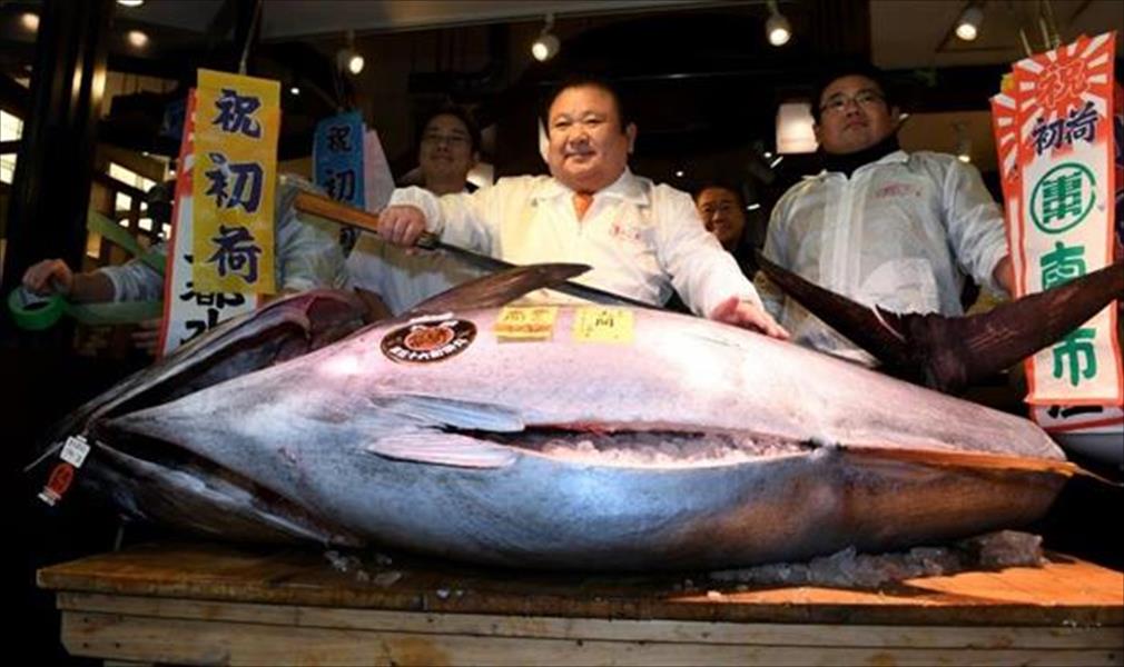 بيع سمكة تونة حمراء بـ605 آلاف يورو