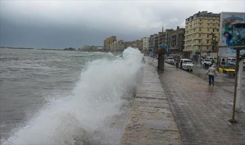 مصر: طقس شديد البرود وسقوط أمطار على السواحل الشمالية غدًا